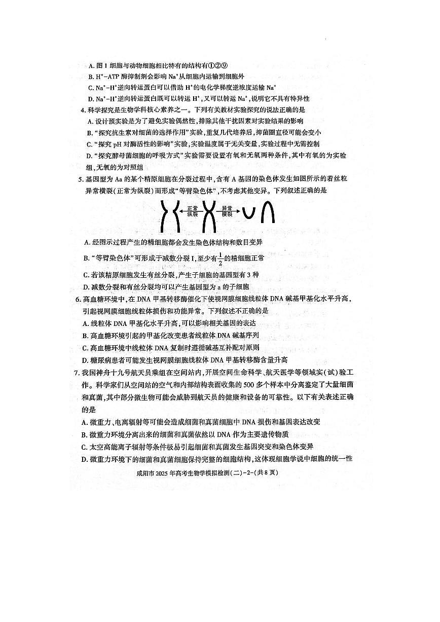 陕西省咸阳市2025届高三高考模拟第二次模拟-生物试题无答案第2页