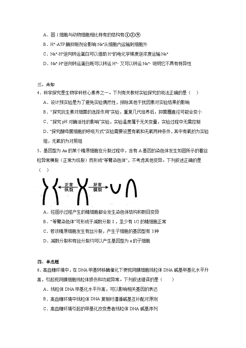 2025届陕西省咸阳市高三二模生物试题（无答案）第2页