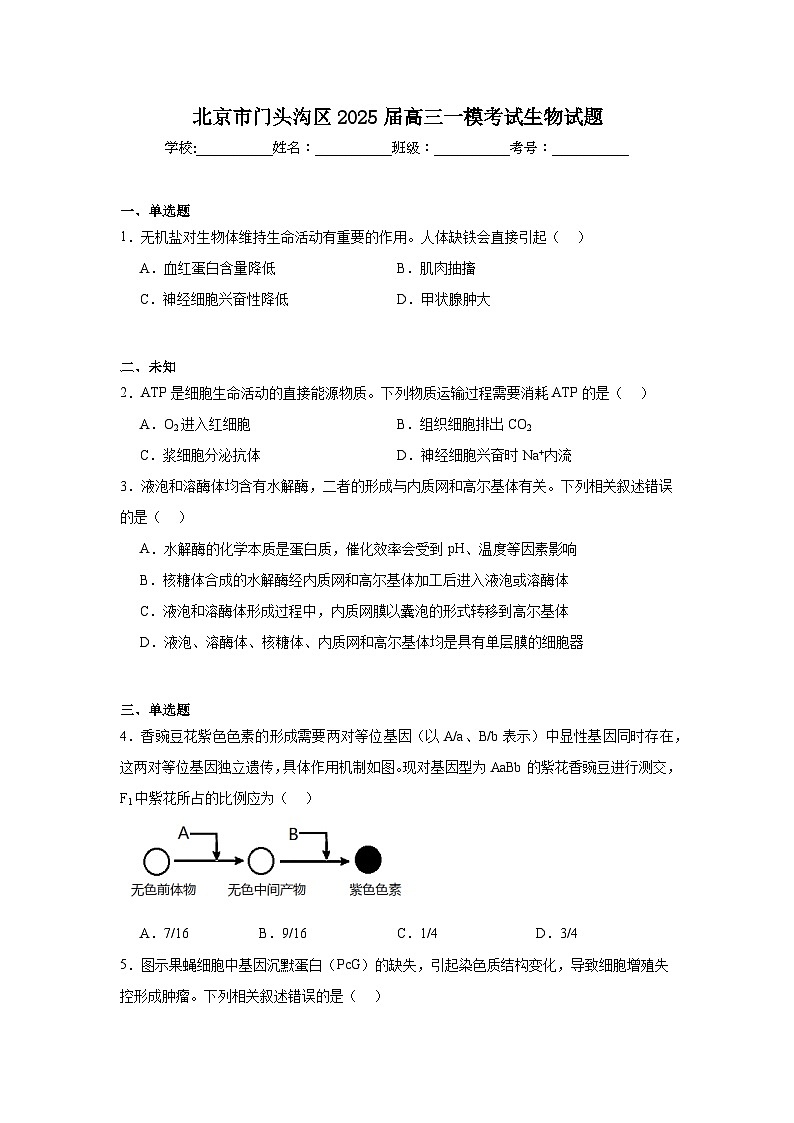 北京市门头沟区2025届高三一模考试生物试题（无答案）第1页