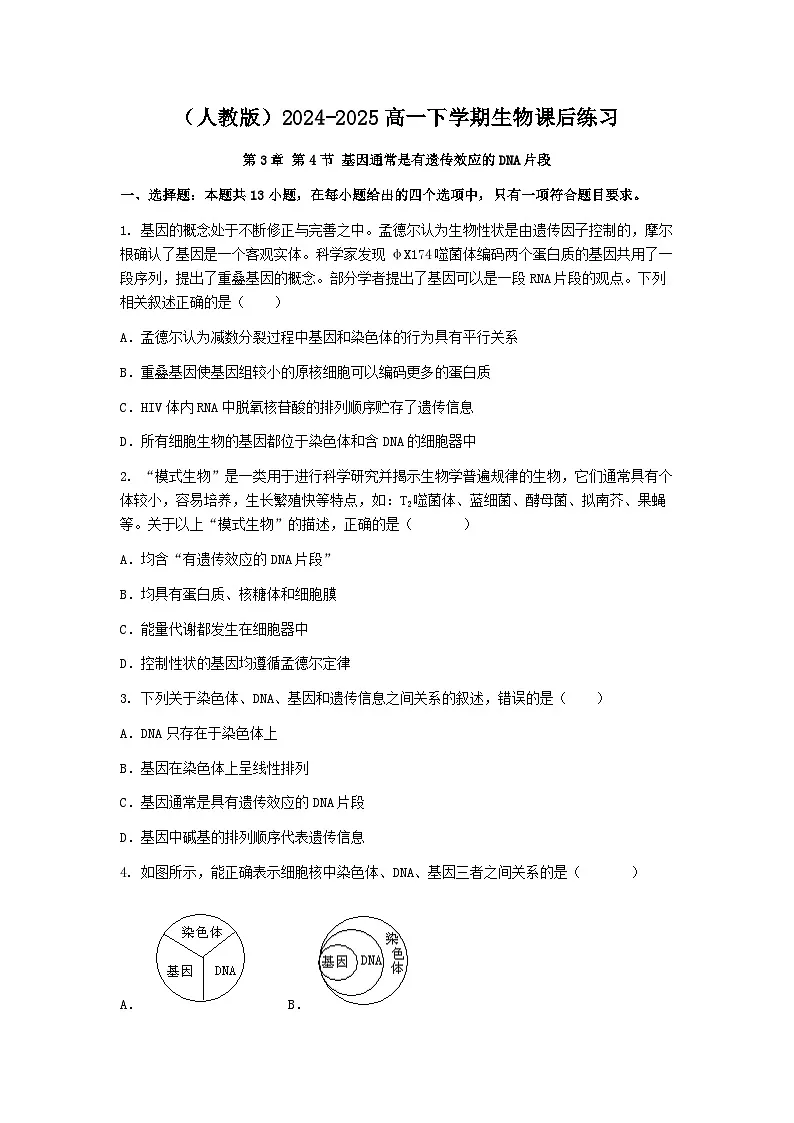 （人教版）2024-2025高一下学期生物课后练习(第3章 第4节 基因通常是有遗传效应的DNA片段)+答案第1页