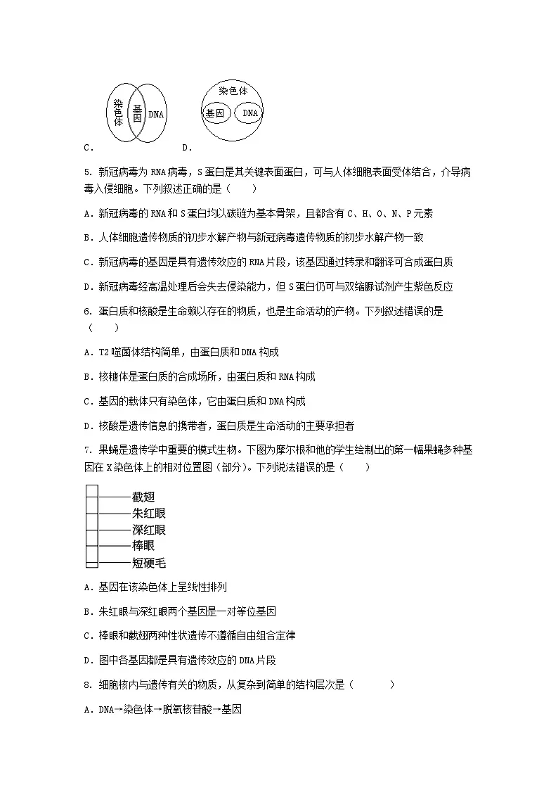 （人教版）2024-2025高一下学期生物课后练习(第3章 第4节 基因通常是有遗传效应的DNA片段)+答案第2页
