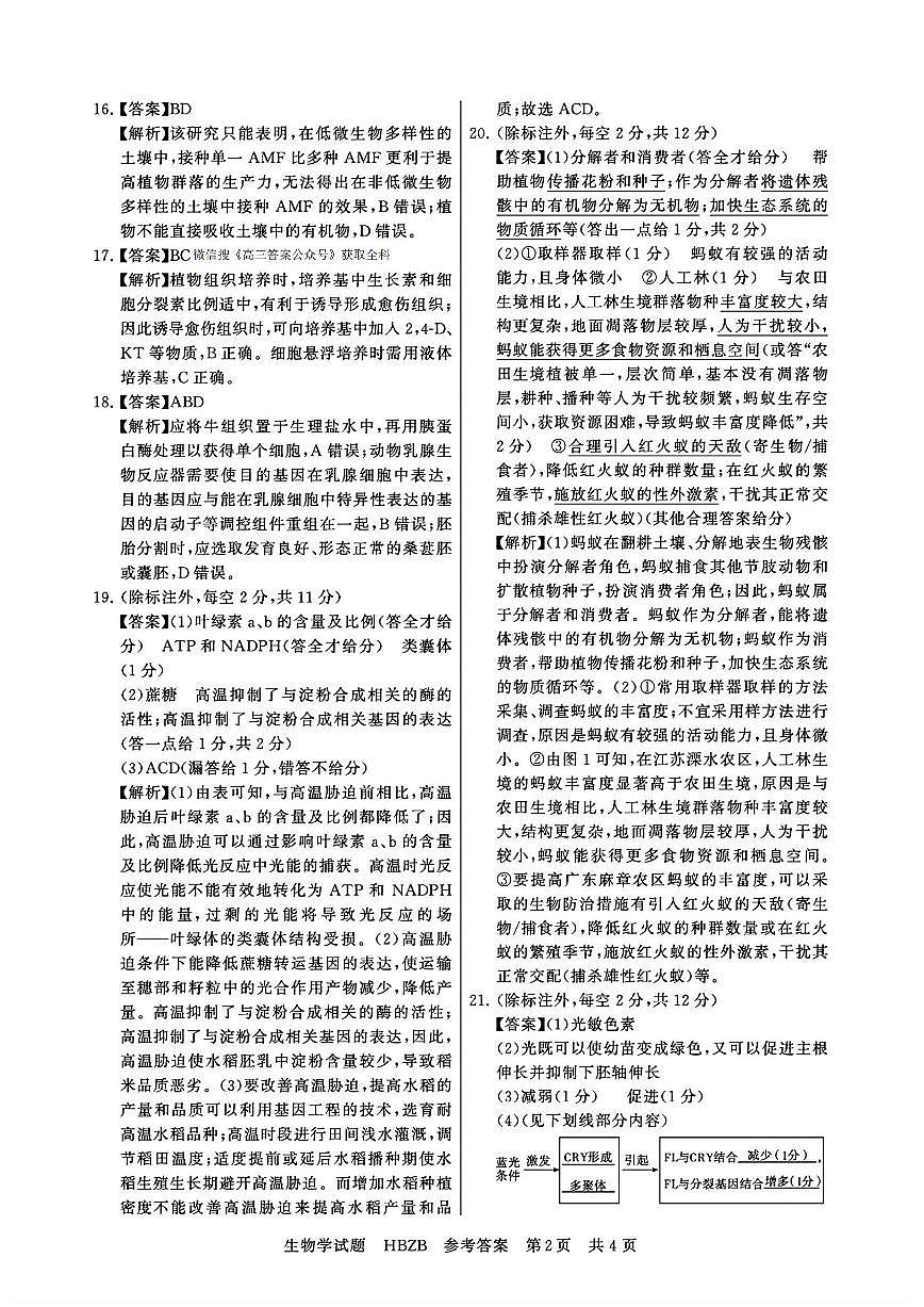 生物答案第2页