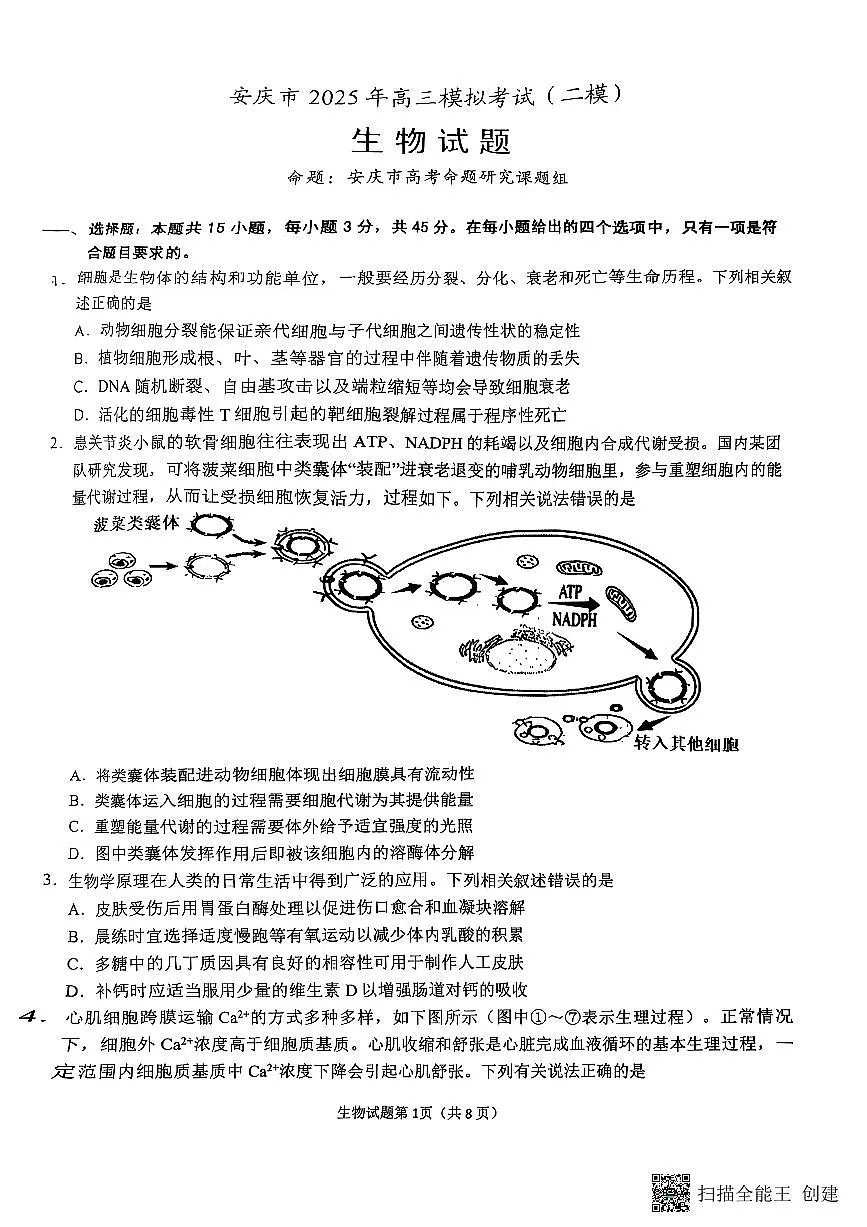 安徽省安庆市2024-2025学年高三下学期第二次模拟考试生物试题第1页