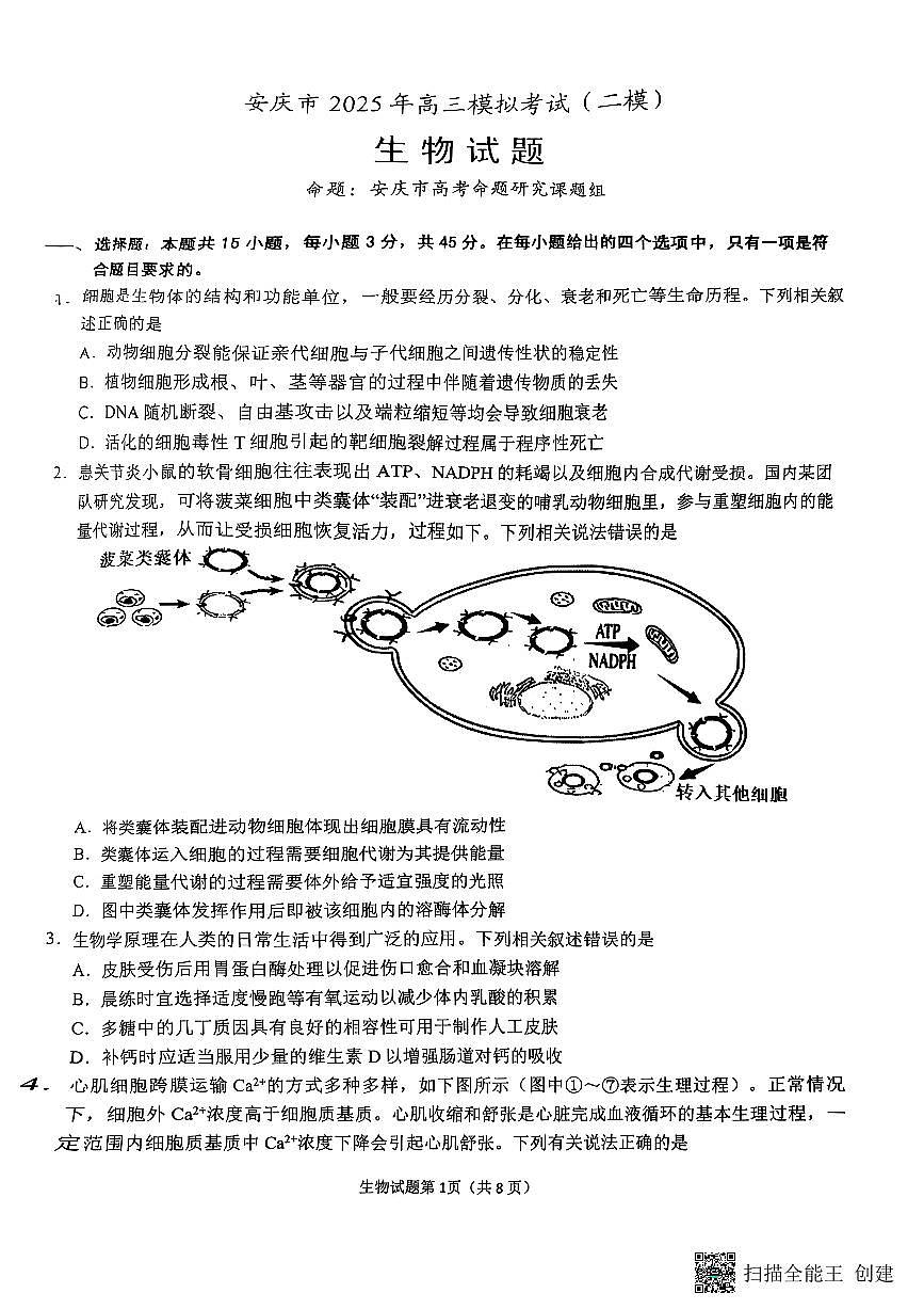 安徽省安庆市2024-2025学年高三下学期第二次模拟考试生物试题第1页