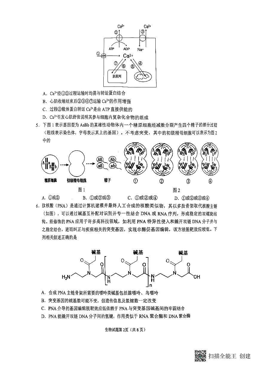 安徽省安庆市2024-2025学年高三下学期第二次模拟考试生物试题第2页