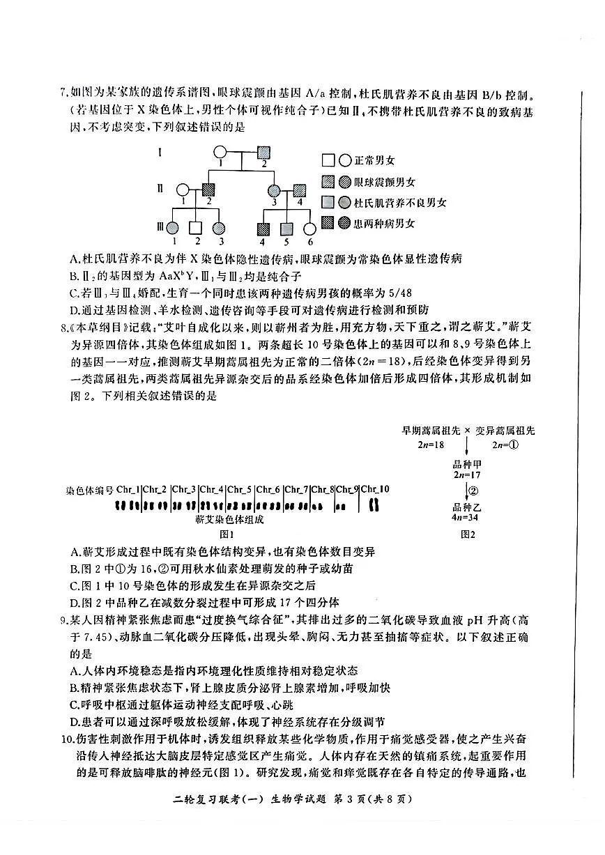 生物第3页