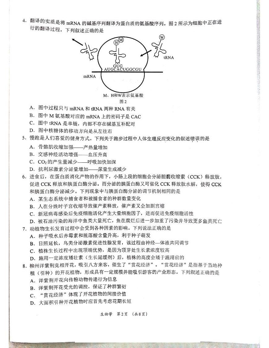 广西省柳州市2025届高三高考第三次模拟考试生物试题第2页