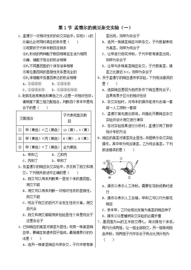 第1章 第1节 孟德尔的豌豆杂交实验（一）（高中生物学必修2）课后练习+答案第1页
