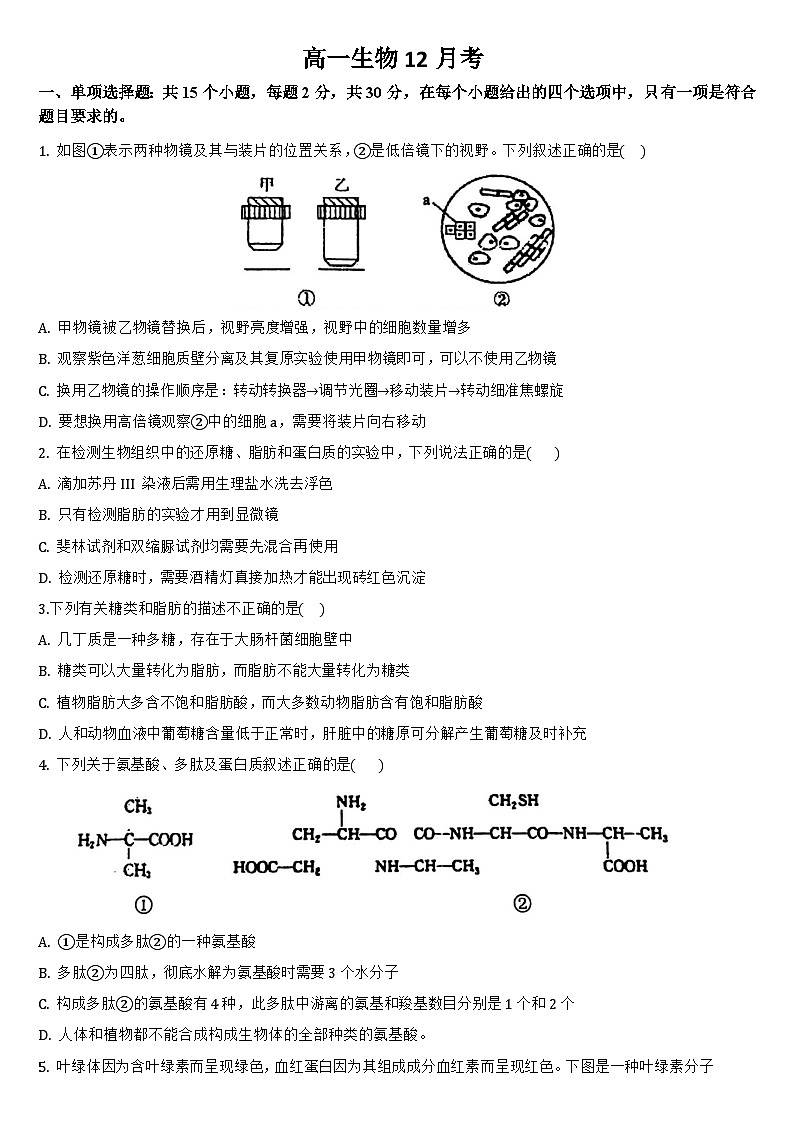 吉林省通化市梅河口市第五中学2024-2025学年高一上学期12月月考生物试题第1页
