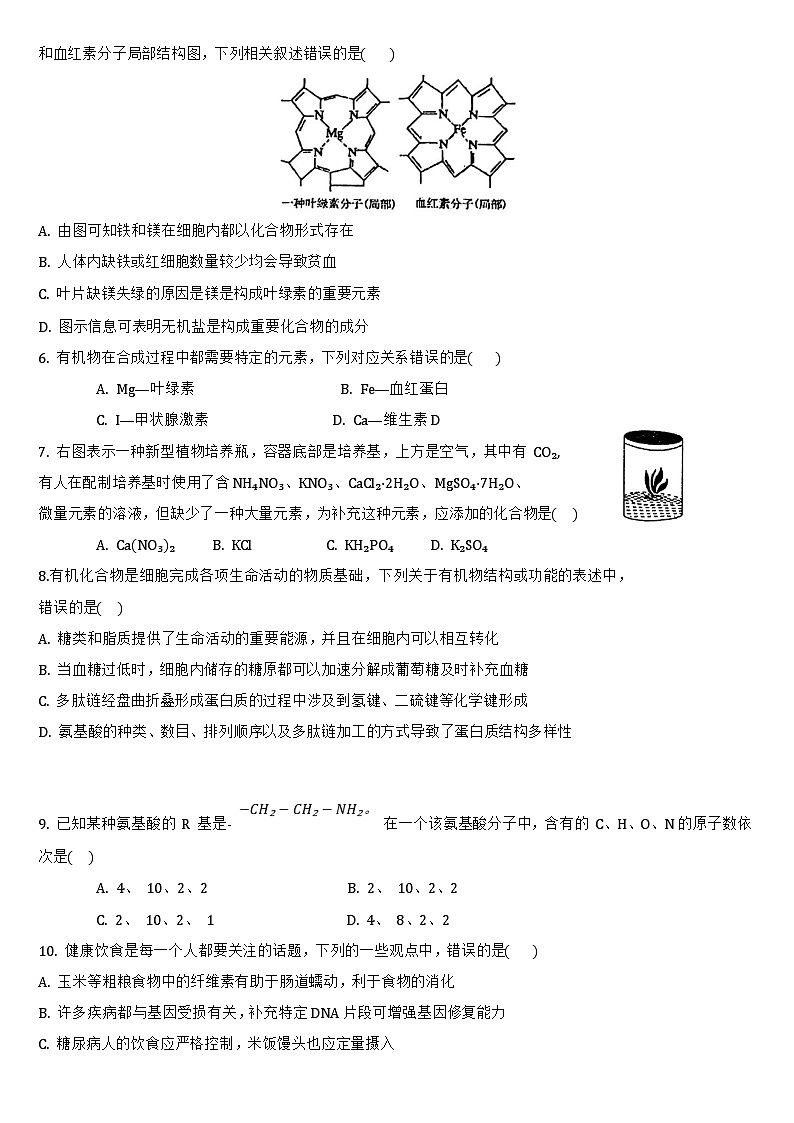 吉林省通化市梅河口市第五中学2024-2025学年高一上学期12月月考生物试题第2页