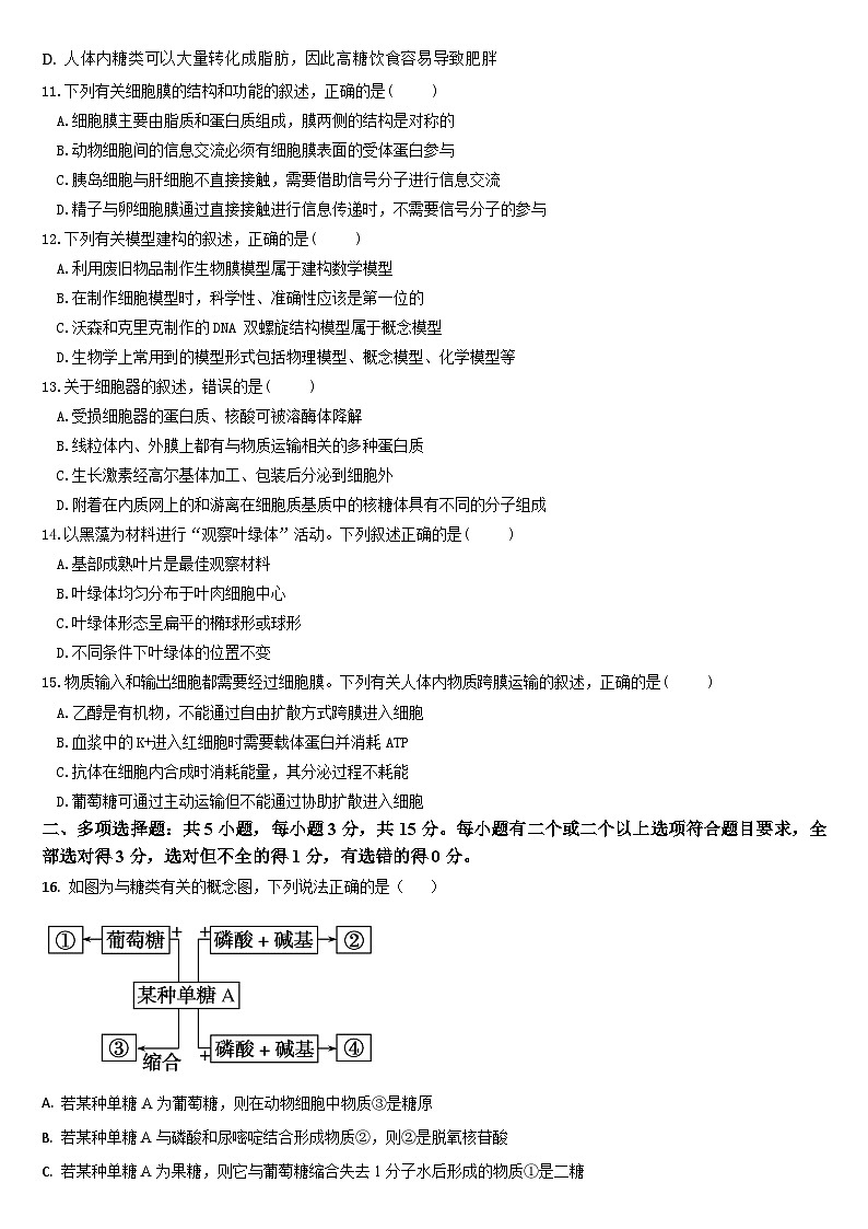 吉林省通化市梅河口市第五中学2024-2025学年高一上学期12月月考生物试题第3页