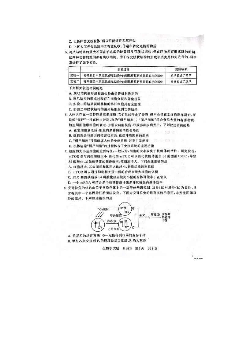 2025届八省八校T8联考高三下3月联合测评生物试卷含答案（河北版）第2页