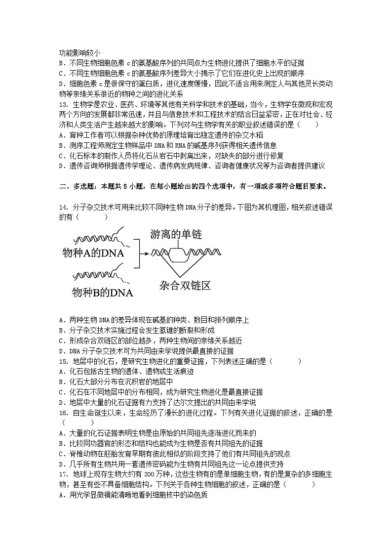 （人教版）2024-2025高一下学期生物课后练习(第6章 第1节 生物有共同祖先的证据)+答案第3页