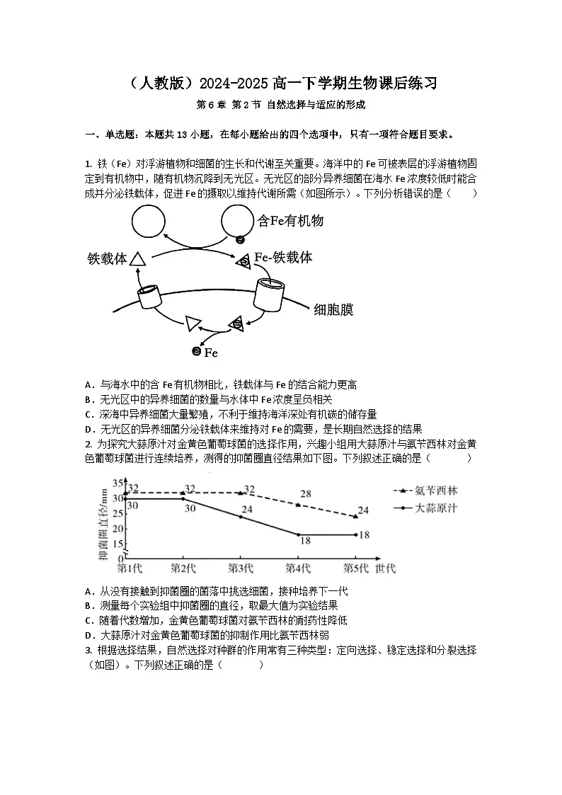 （人教版）2024-2025高一下学期生物课后练习(第6章 第2节 自然选择与适应的形成)+答案第1页
