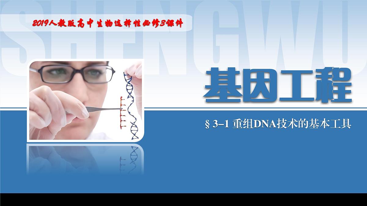 2024-2025学年高中生物同步备课课件（人教版2019）选择性必修三3-1DNA重组技术的基本工具第1页