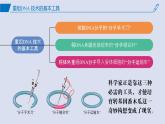 2024-2025學(xué)年高中生物同步備課課件（人教版2019）選擇性必修三3-1DNA重組技術(shù)的基本工具