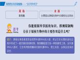 2024-2025學(xué)年高中生物同步備課課件（人教版2019）選擇性必修三3-1DNA重組技術(shù)的基本工具