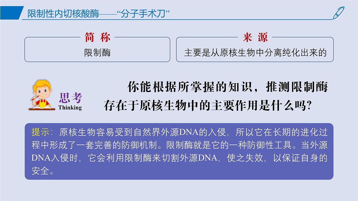 2024-2025学年高中生物同步备课课件（人教版2019）选择性必修三3-1DNA重组技术的基本工具第4页