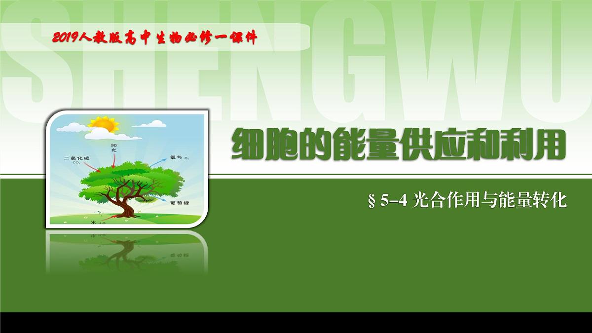 2024-2025学年高中生物同步备课课件（人教版2019）必修一5-4光合作用与能量转化（源文件）第1页