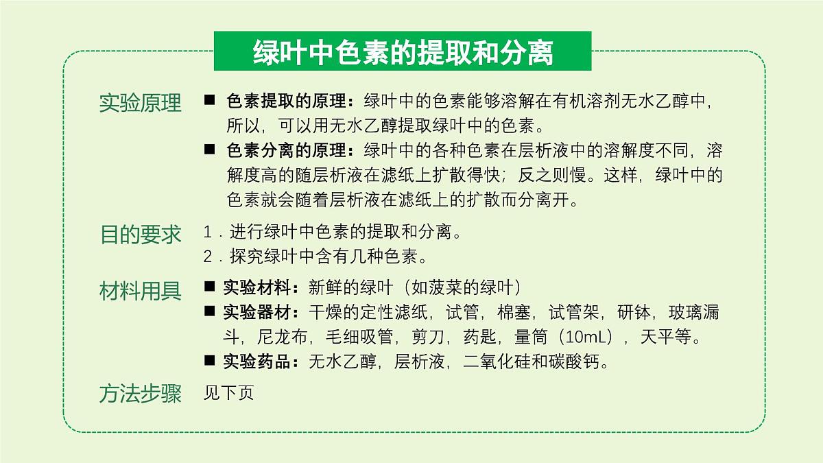 2024-2025学年高中生物同步备课课件（人教版2019）必修一5-4光合作用与能量转化（源文件）第4页