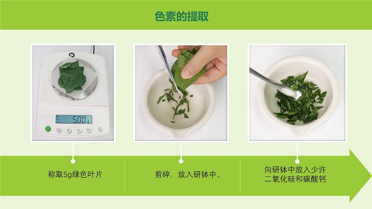 2024-2025学年高中生物同步备课课件（人教版2019）必修一5-4光合作用与能量转化（源文件）第5页