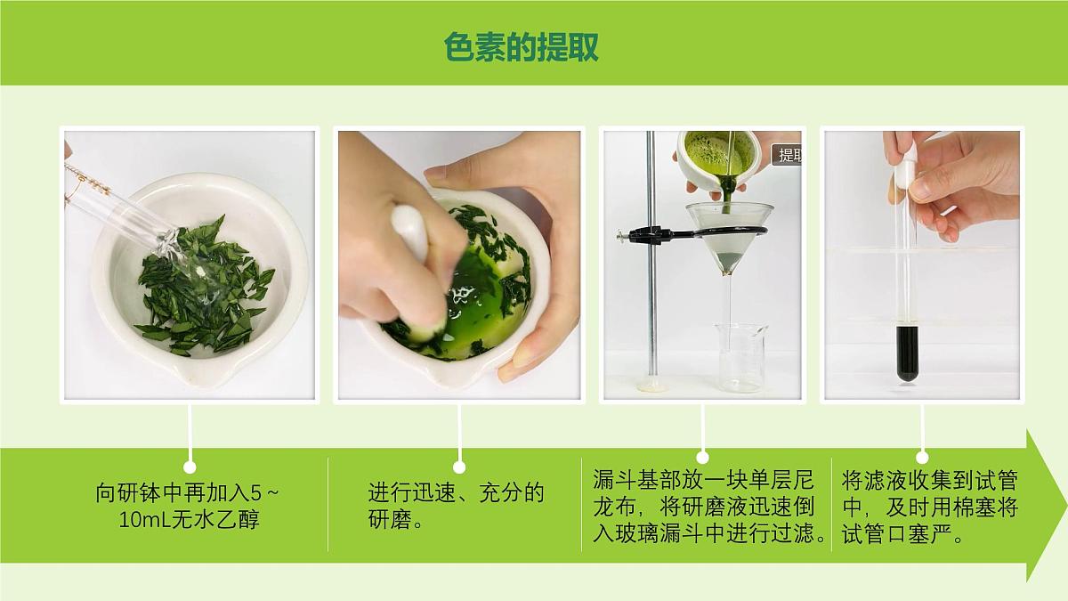 2024-2025学年高中生物同步备课课件（人教版2019）必修一5-4光合作用与能量转化（源文件）第6页