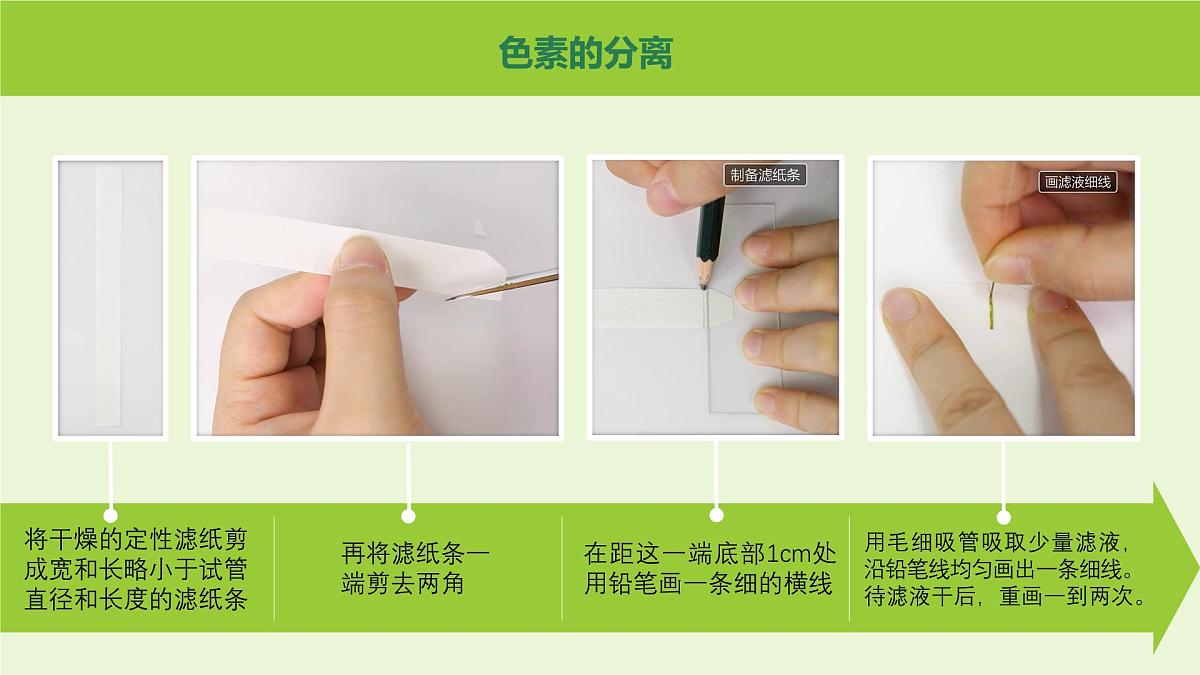 2024-2025学年高中生物同步备课课件（人教版2019）必修一5-4光合作用与能量转化（源文件）第7页