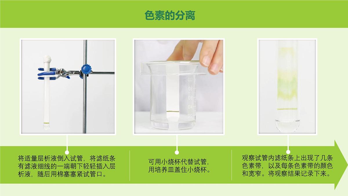 2024-2025学年高中生物同步备课课件（人教版2019）必修一5-4光合作用与能量转化（源文件）第8页