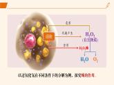 2024-2025學(xué)年高中生物同步備課課件（人教版2019）必修一5-1降低化學(xué)反應(yīng)活化能的酶