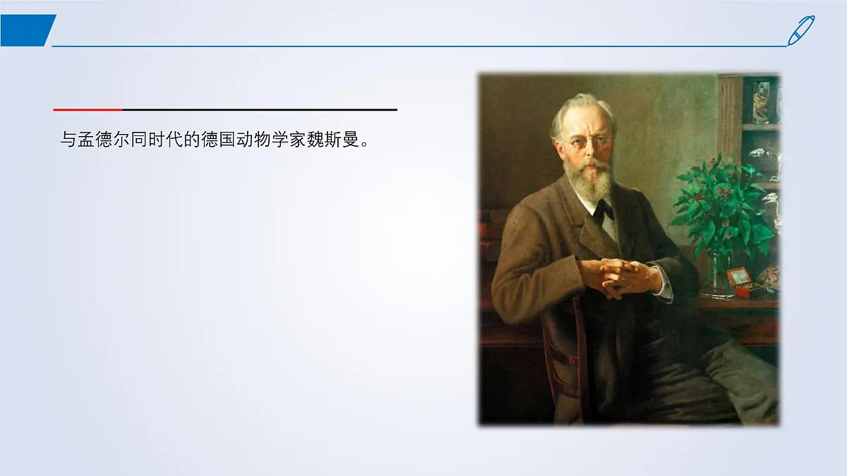 2024-2025学年高中生物同步备课课件（人教版2019）必修二2-1减数分裂和受精作用第3页