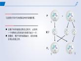 2024-2025學年高中生物同步備課課件（人教版2019）必修二2-1減數(shù)分裂和受精作用