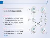 2024-2025學年高中生物同步備課課件（人教版2019）必修二2-1減數(shù)分裂和受精作用