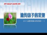 2024-2025学年高中生物同步备课课件（人教版2019）必修二1-1孟德尔的豌豆杂交实验（一）