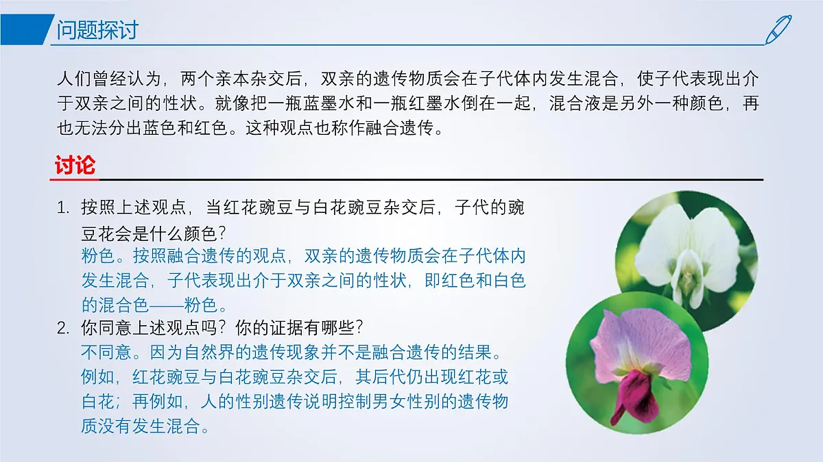2024-2025学年高中生物同步备课课件（人教版2019）必修二1-1孟德尔的豌豆杂交实验（一）第2页
