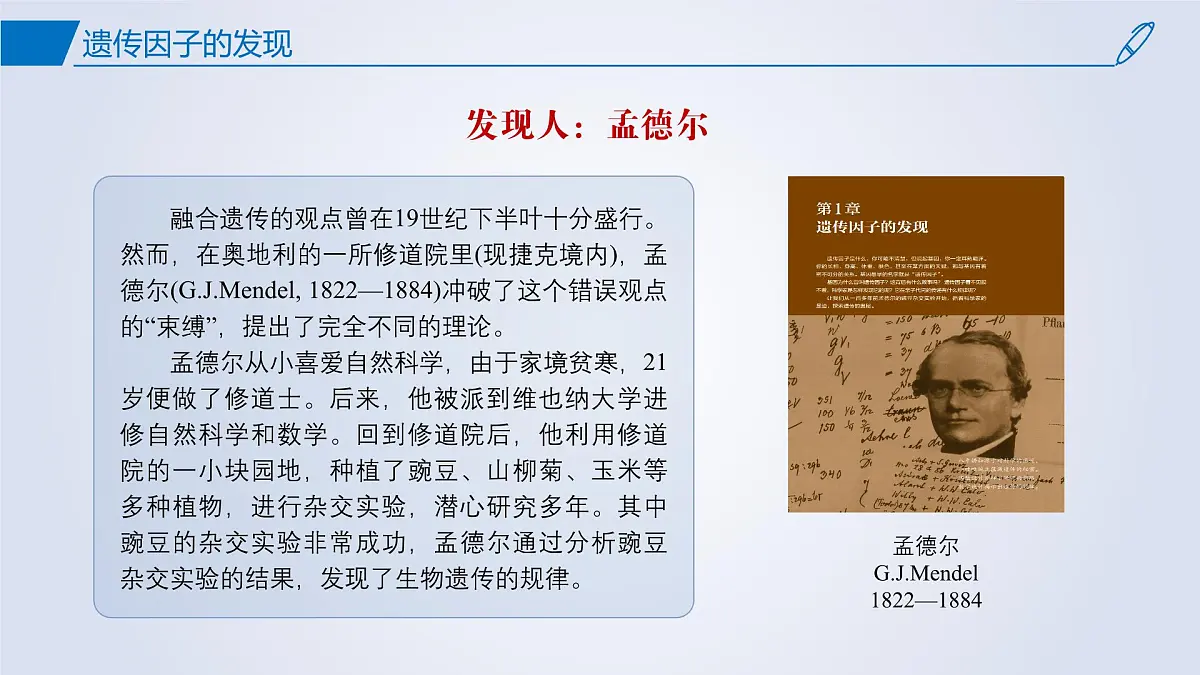 2024-2025学年高中生物同步备课课件（人教版2019）必修二1-1孟德尔的豌豆杂交实验（一）第3页