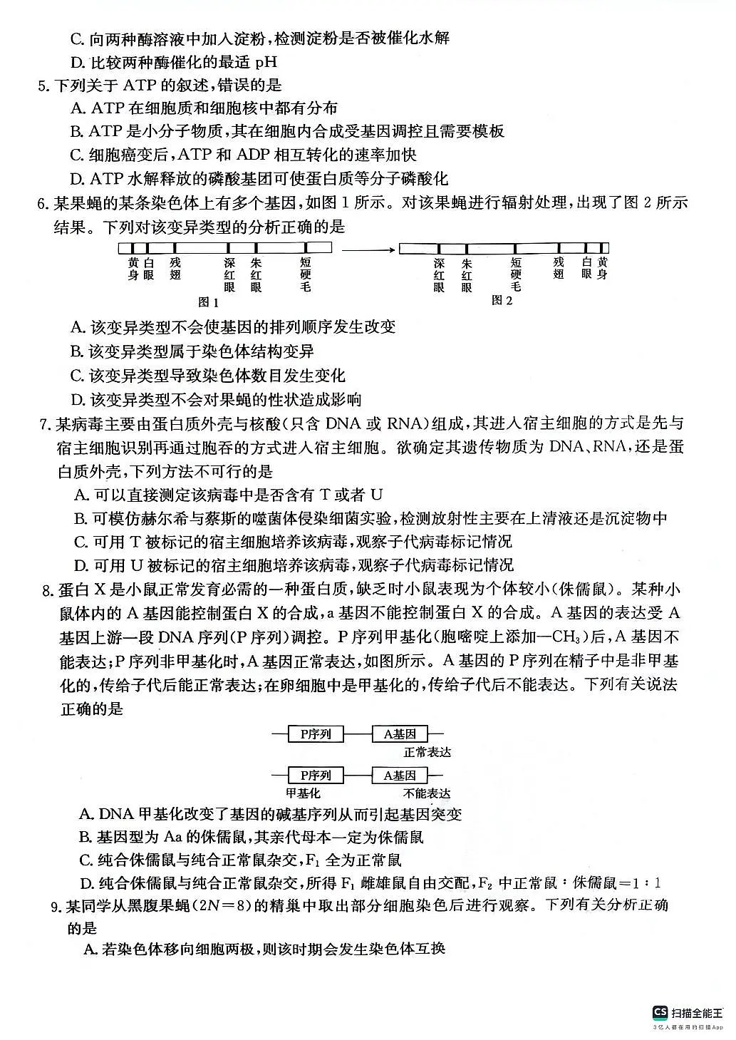2024届贵州省高三上(10月考)-生物试题（含答案）第2页