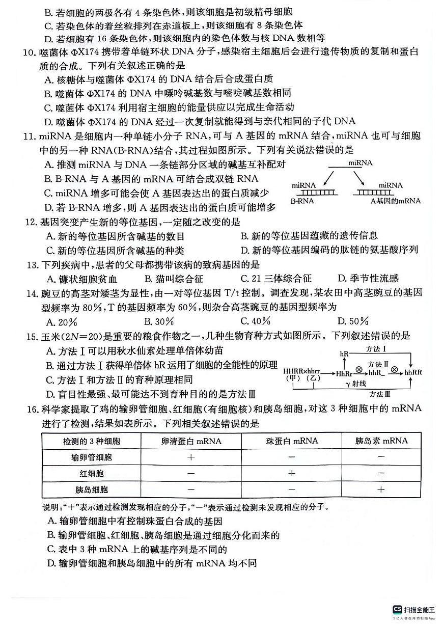 2024届贵州省高三上(10月考)-生物试题（含答案）第3页