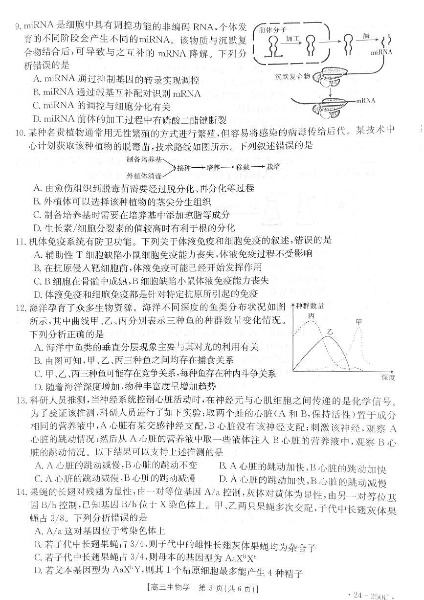 2024届贵州省高三上(12月考)-生物试题（含答案）第3页