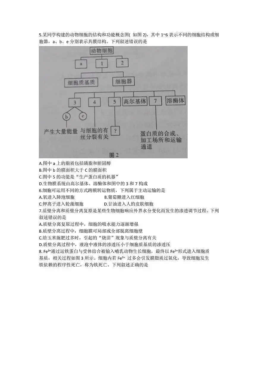 2024届贵州省贵阳第一中学高三上学期高考适应性月考（一）(9月)-生物试题（含答案）第2页
