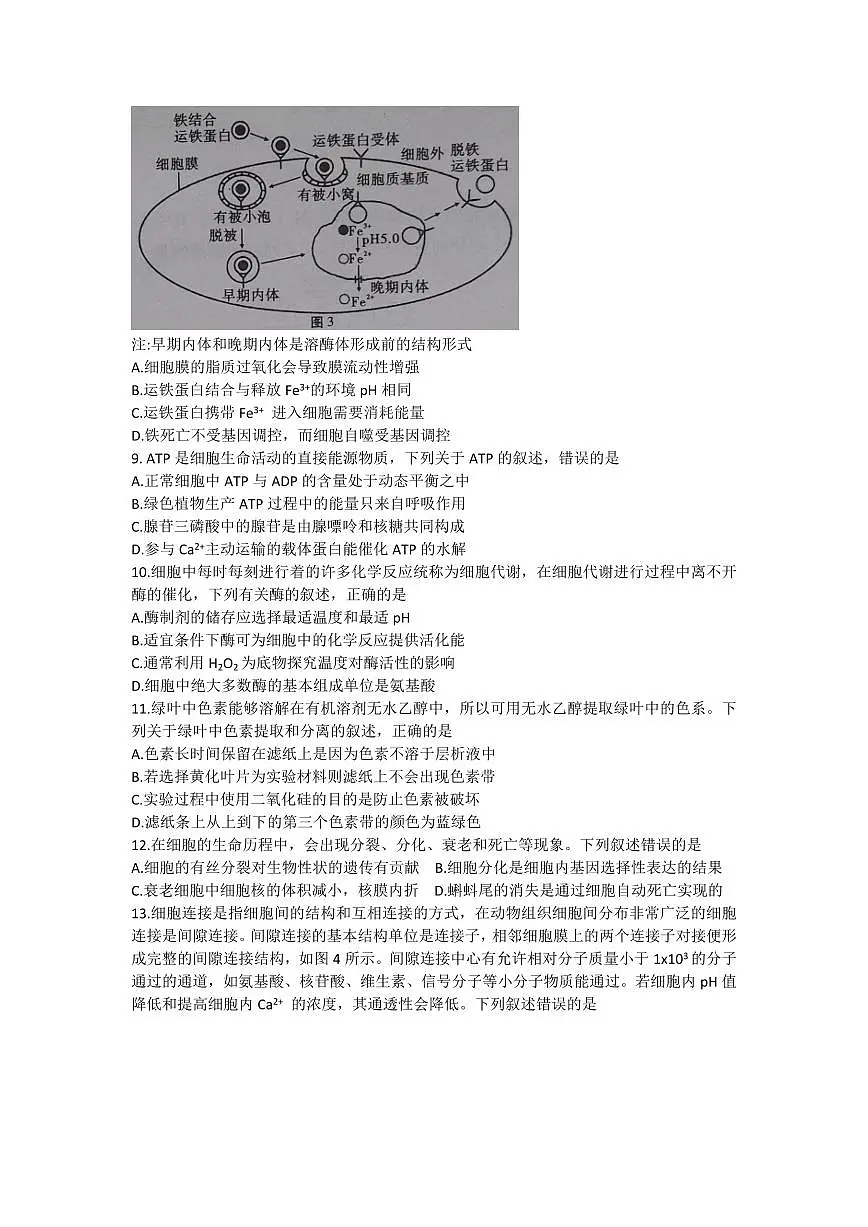 2024届贵州省贵阳第一中学高三上学期高考适应性月考（一）(9月)-生物试题（含答案）第3页
