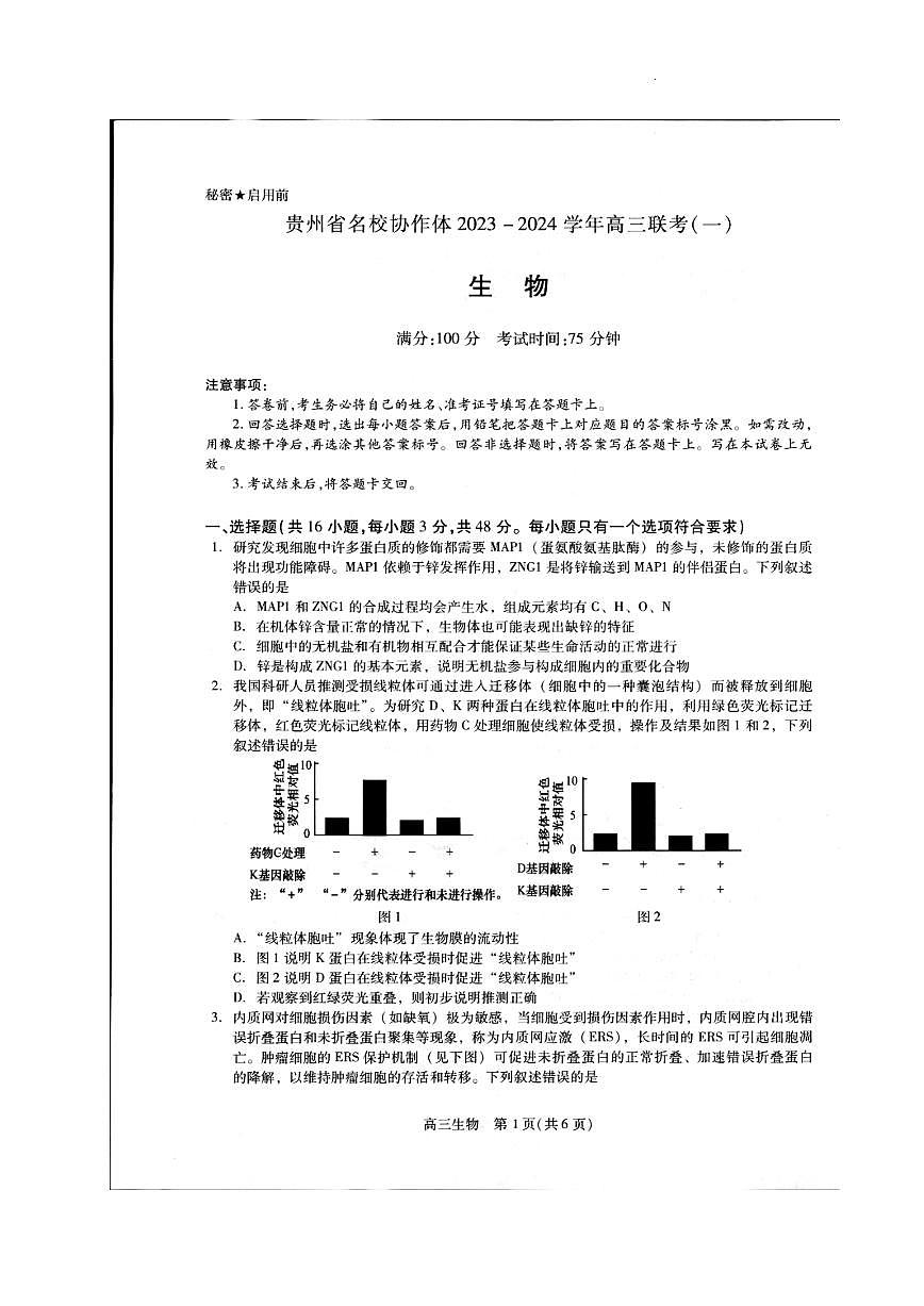 2024届贵州协作体高三上(11月考)-生物试题（含答案）第1页