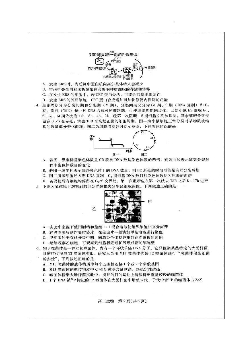 2024届贵州协作体高三上(11月考)-生物试题（含答案）第2页