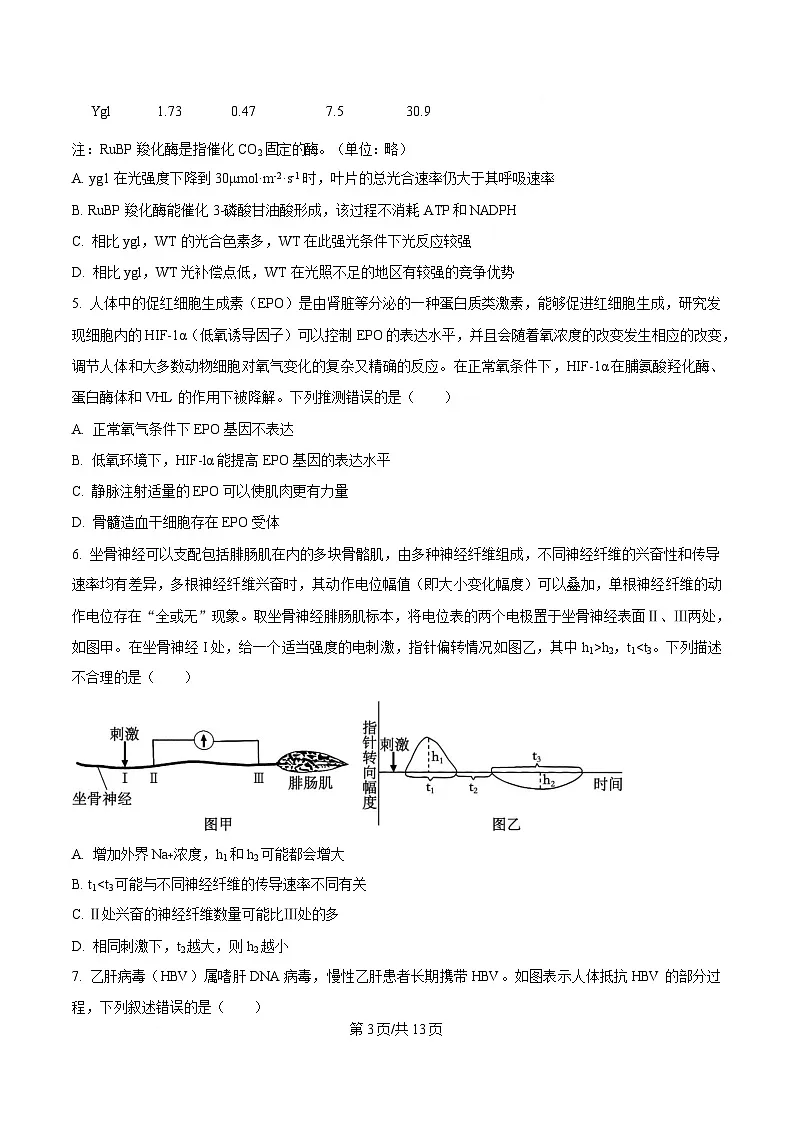 重庆市拔尖强基联盟2025届高三下学期3月联合考试生物试题（原卷版）第3页