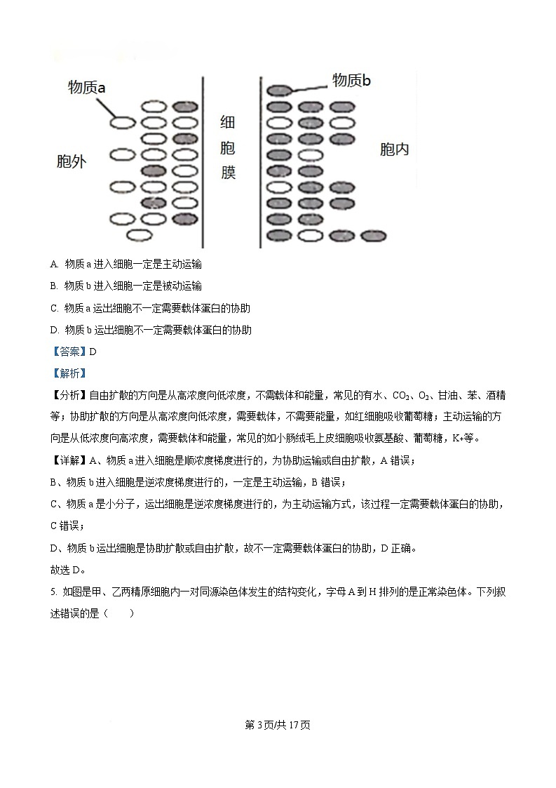 重庆市巴蜀中学2024-2025学年高三下学期3月月考生物试题练习卷 Word版含解析第3页