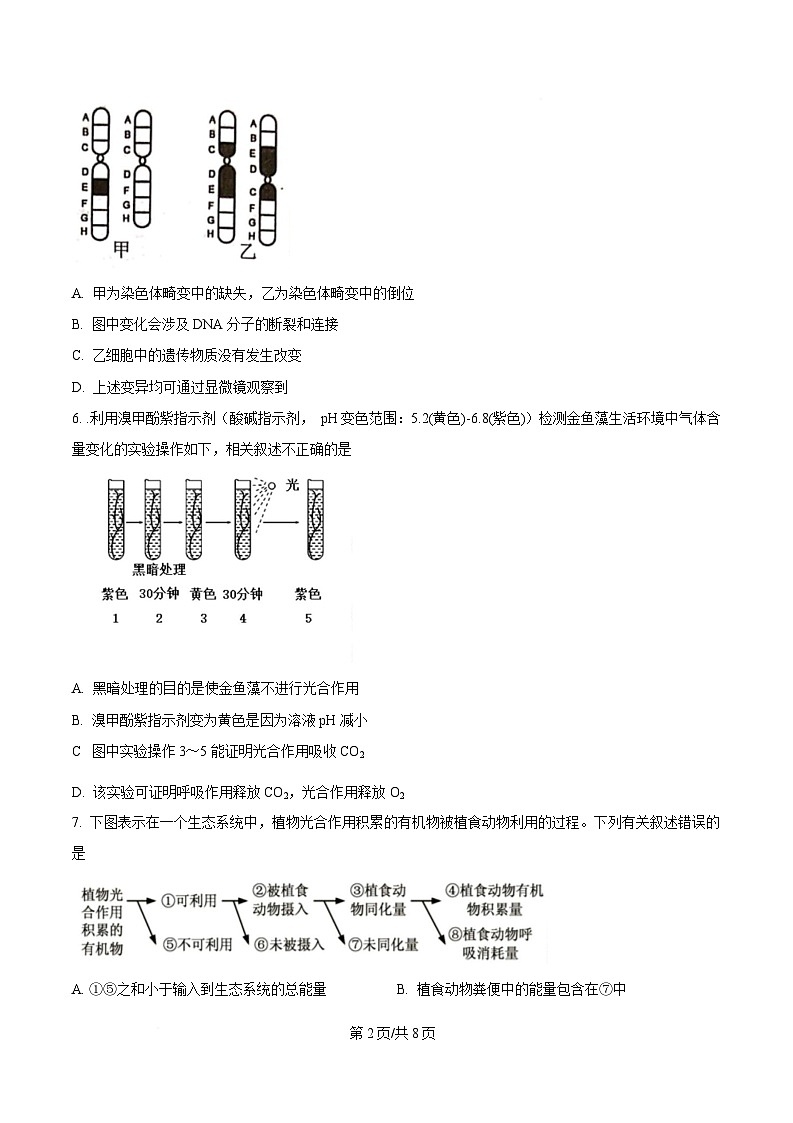 重庆市巴蜀中学2024-2025学年高三下学期3月月考生物试题练习卷（原卷版）第2页