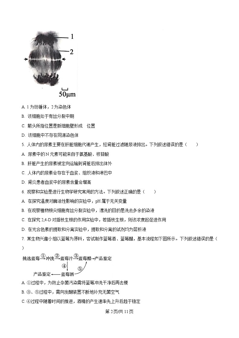 浙江省强基联盟2024-2025学年高三下学期2月联考生物试题  Word版无答案第2页