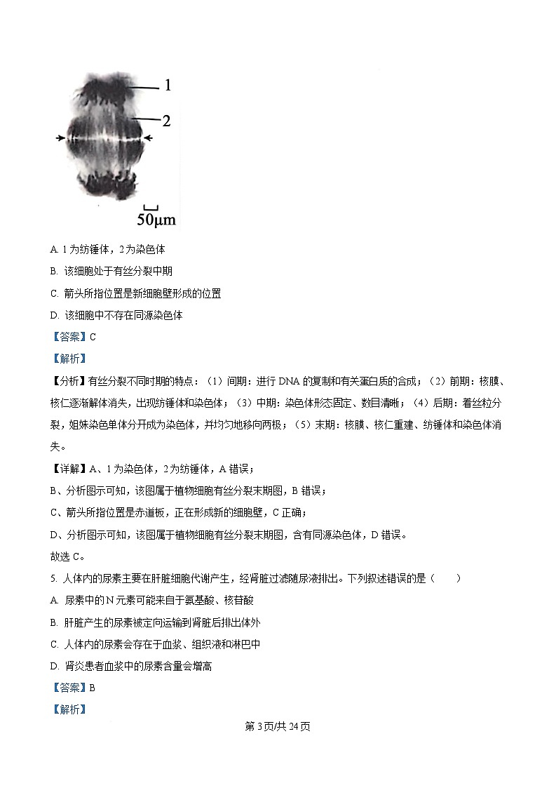 浙江省强基联盟2024-2025学年高三下学期2月联考生物试题  Word版含解析第3页