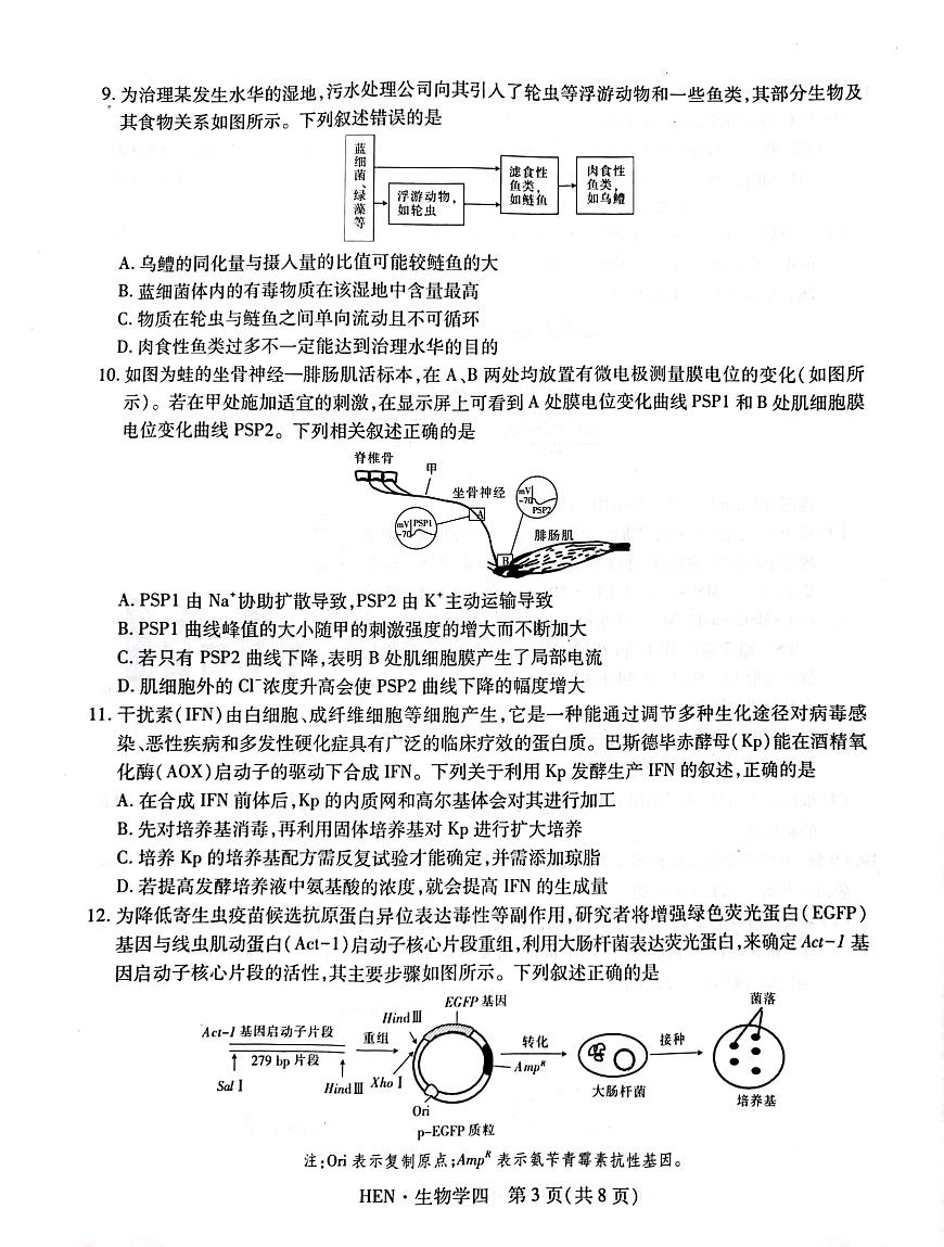 江西省2025届名校学术联盟高三高考模拟模拟冲刺预测卷（四）--生物试题+答案第3页
