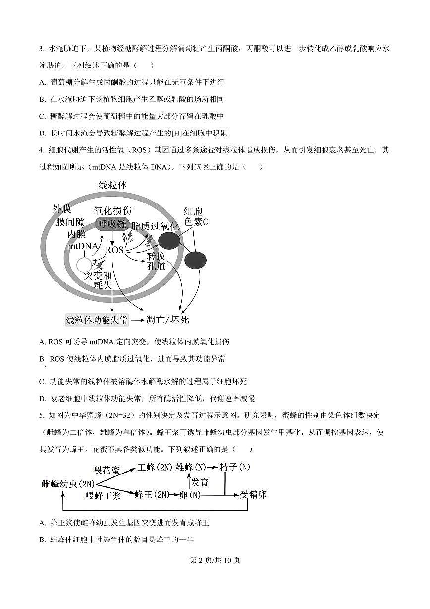 山西省山西大学附中2025届高三下学期3月月考-生物试题+答案第2页
