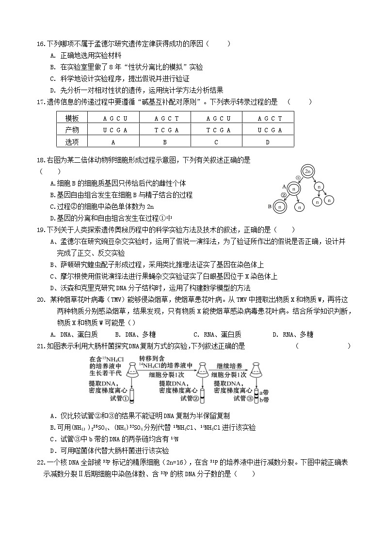 福建省厦泉五校联考2023_2024学年高一生物下学期4月期中试题第3页